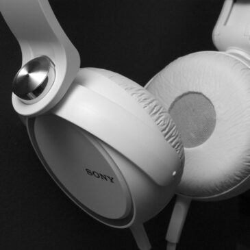 Transcript of: Chris Williamson – How to Radicalise the Masses Online – Joshua Citarella – YouTube